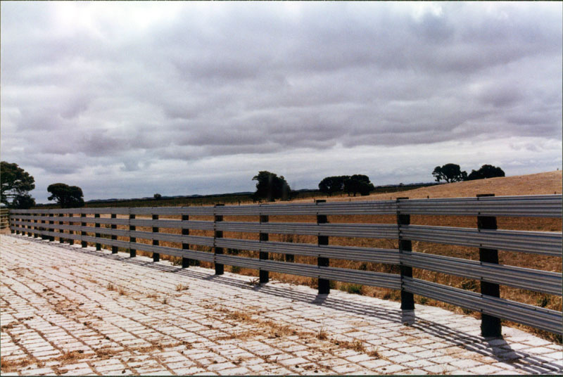 cattle yard picture