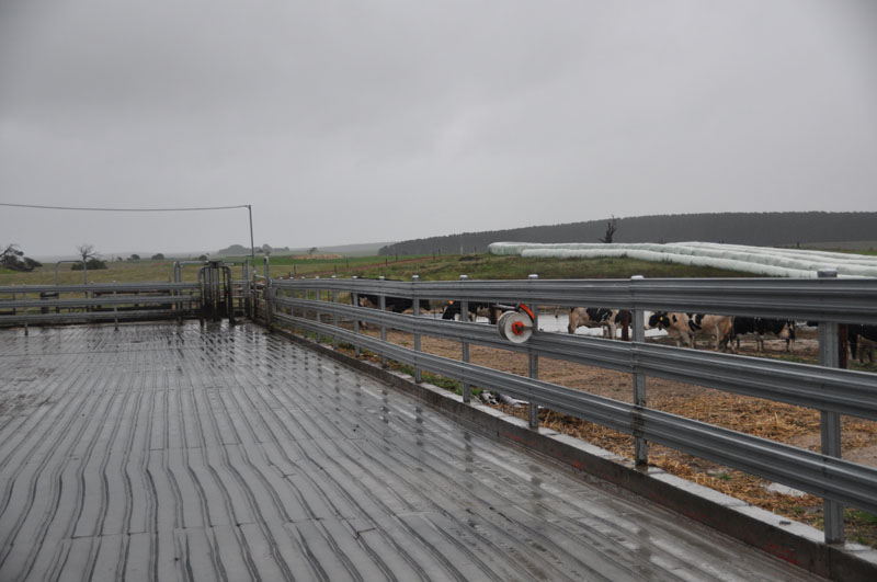 Dairy picture