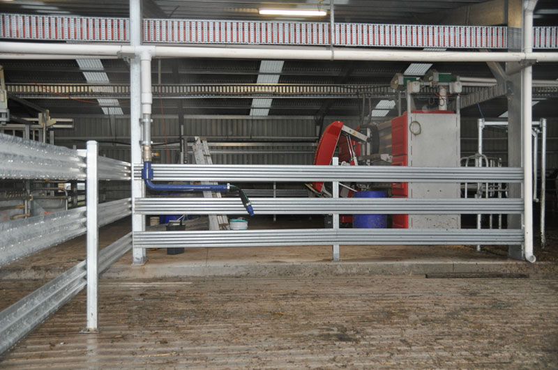 Dairy picture