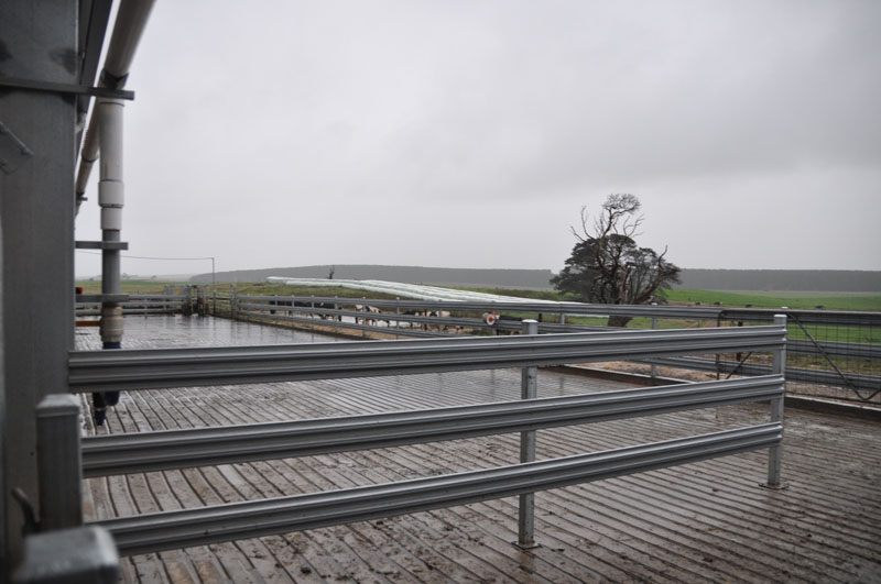 Dairy picture