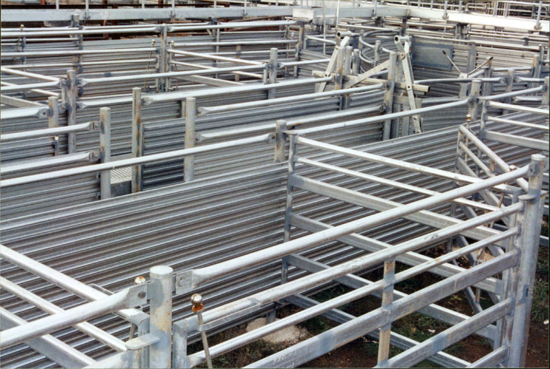 Saleyard