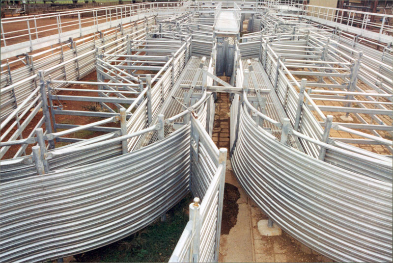 Saleyard