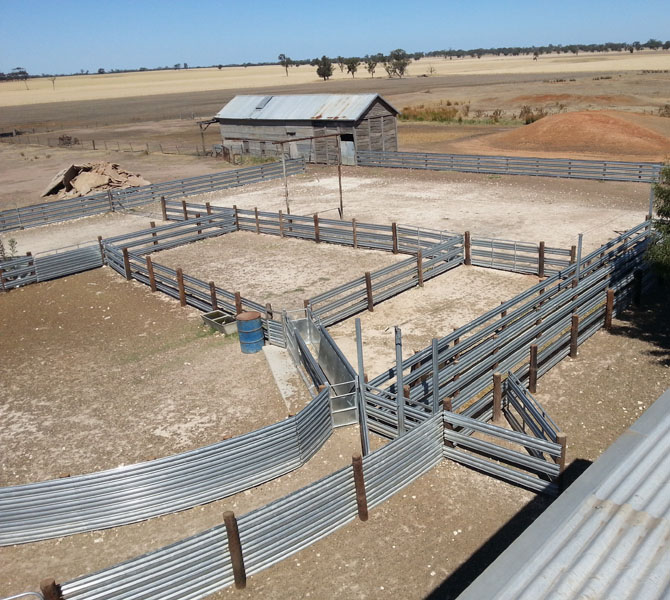 Sheep Yard